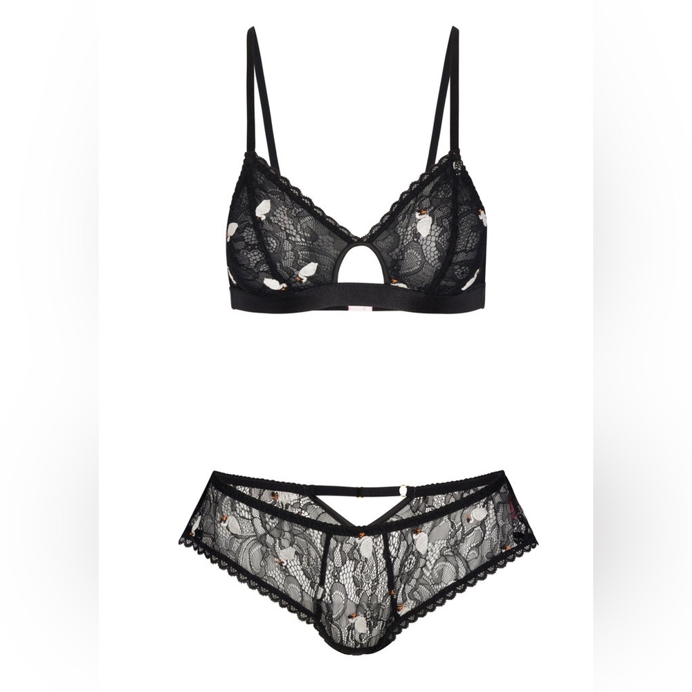 NWT Empress Mimi Swan Maiden lingerie set